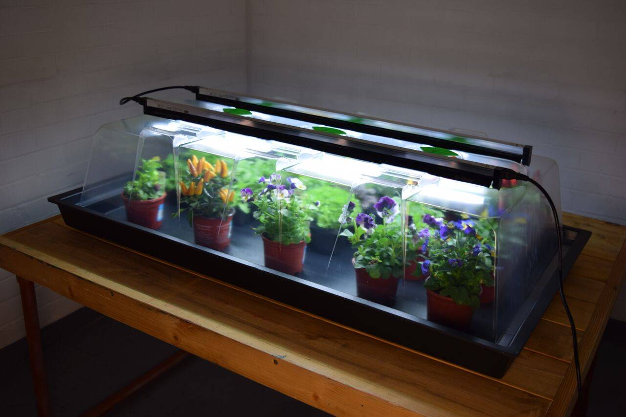 Geopod Propagator